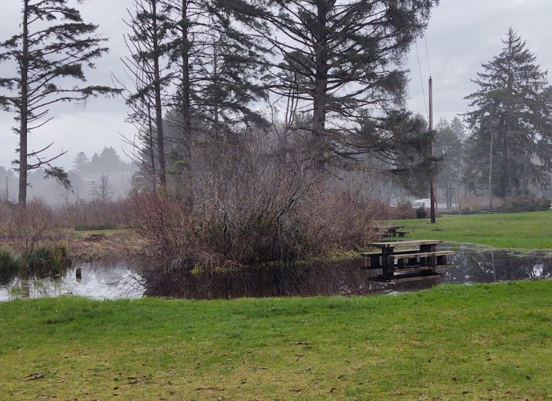 Beaver Creek State Natural Area, Oregon, USA